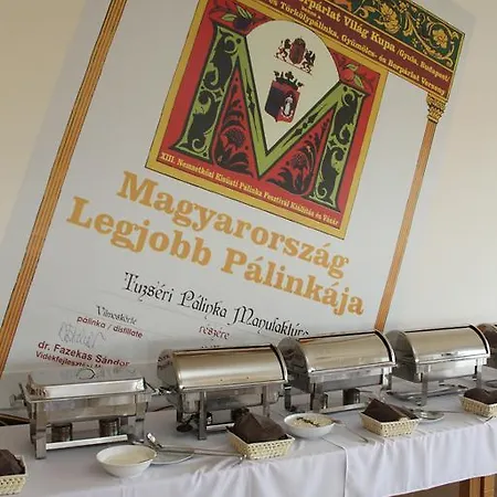 Guest house Tuzseri Palinka Tanya Tuzser