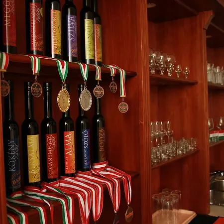 Πανσιόν Tuzseri Palinka Tanya